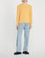 Pull en laine