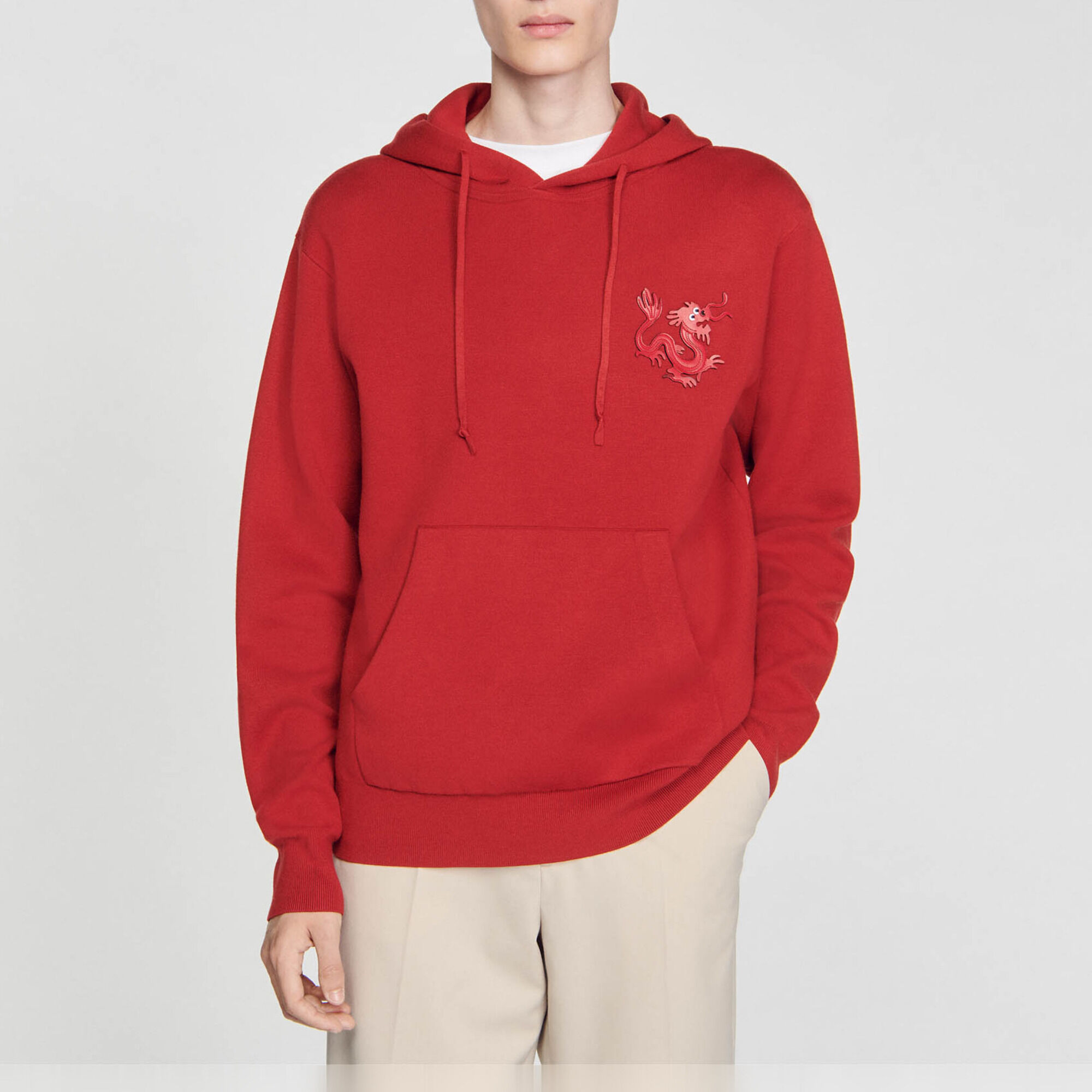 Hoodie dragon